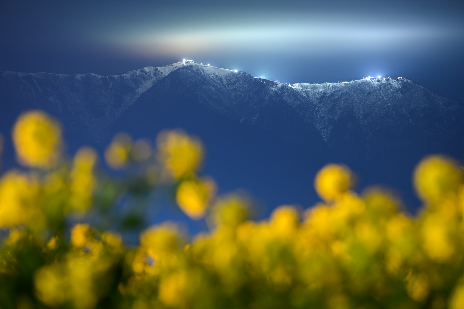 Field of rape blossoms below a mountain