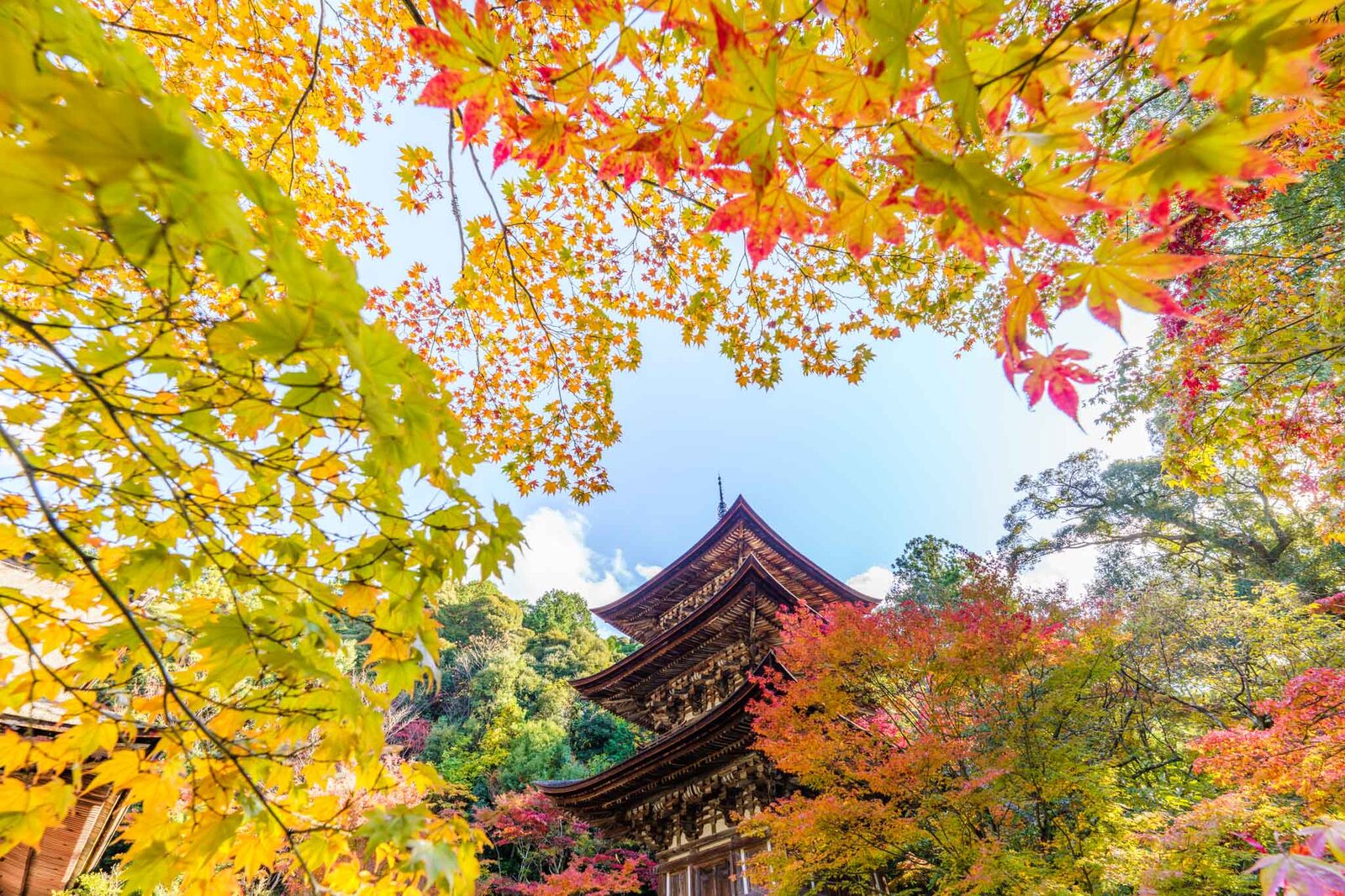 A pagoda among autumn foliage