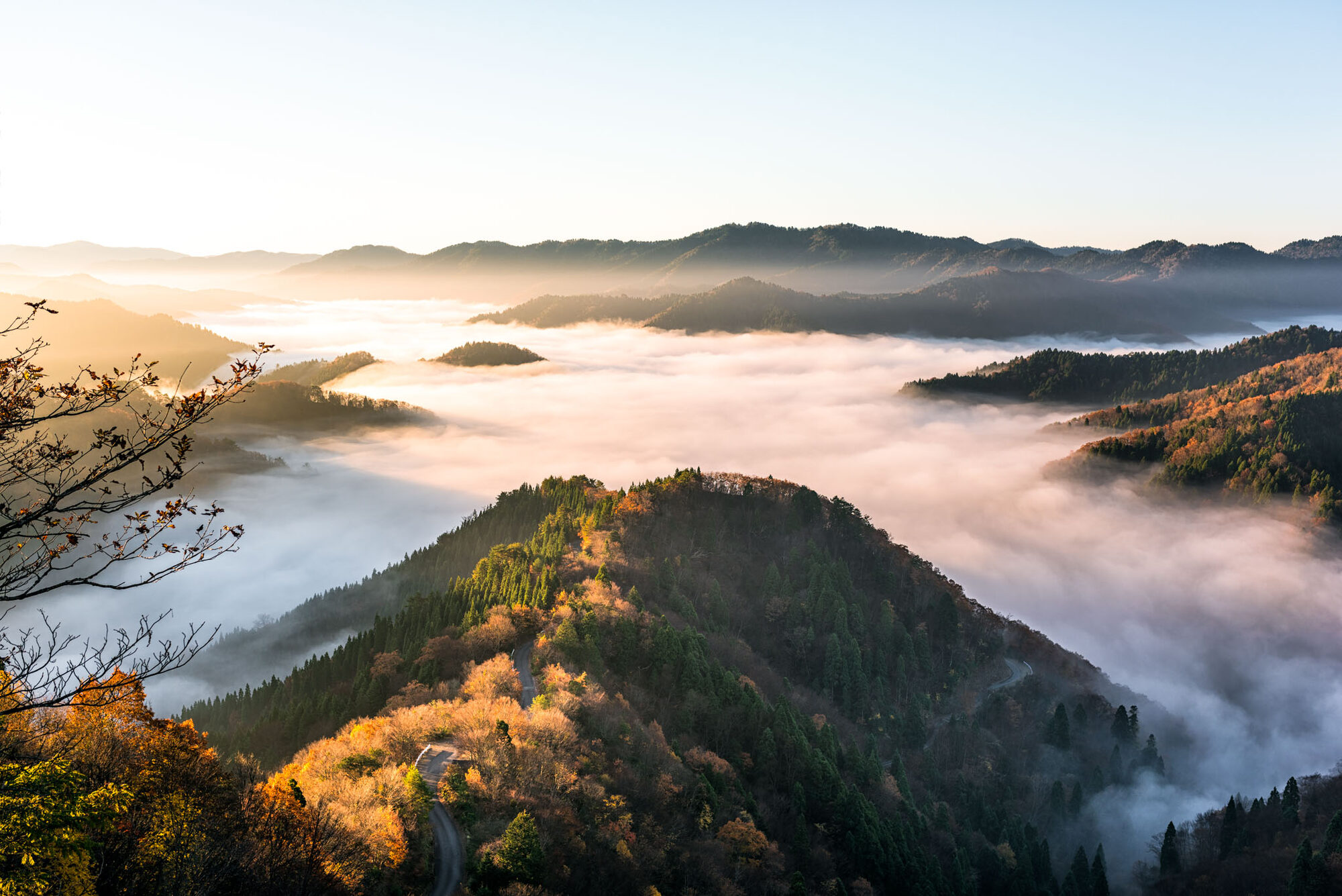 Sea of clouds at sunrise