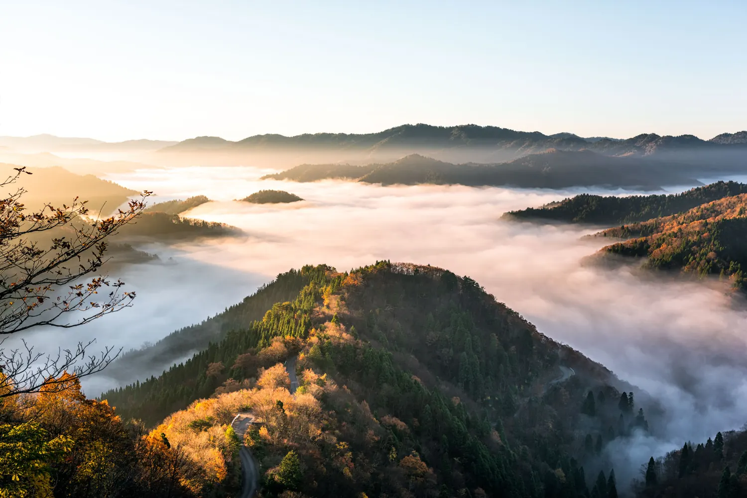Sea of clouds at sunrise