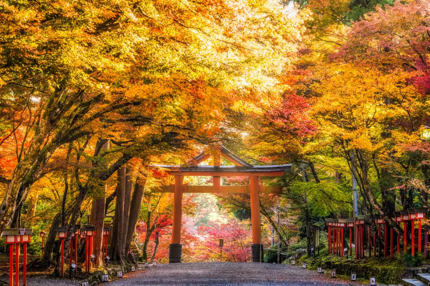 Autumn leaves over a red torii path
